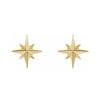 Star Burst Studs