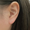 Small Diamond Studs